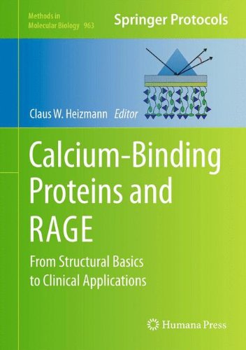 Calcium Binding Proteins and RAGE From Structural Basics to Clinical Applications