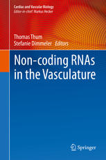 Non Coding RNAs in the Vasculature
