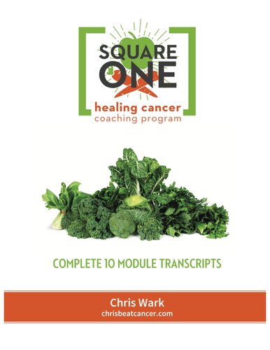 Square One Healing Cancer Coaching Program
