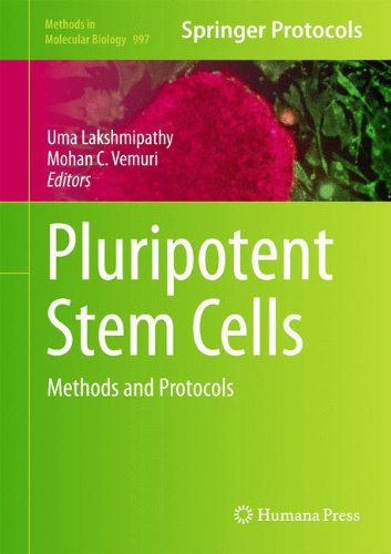 Pluripotent Stem Cells Methods and Protocols