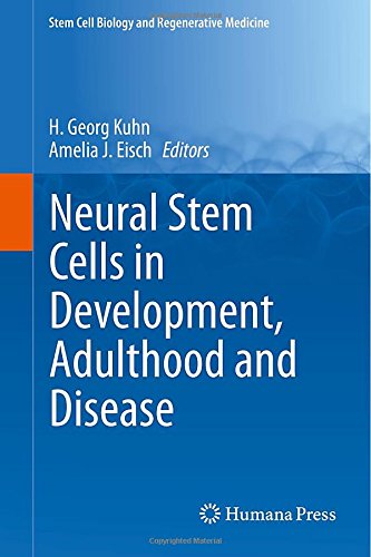 Neural Stem Cells in Development Adulthood and Disease