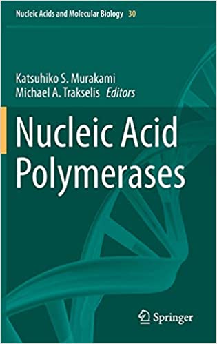 Nucleic Acid Polymerases