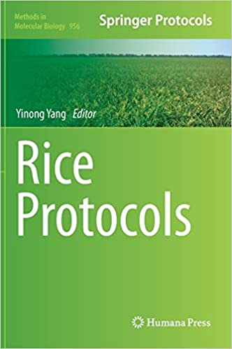 Rice Protocols