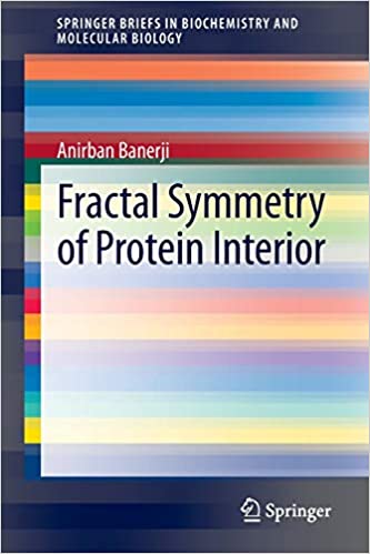 Fractal Symmetry of Protein Interior