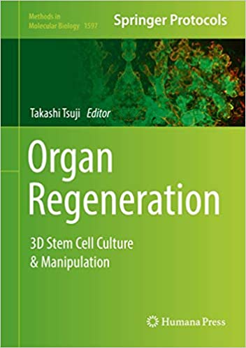 Organ Regeneration 3D Stem Cell Culture & Manipulation