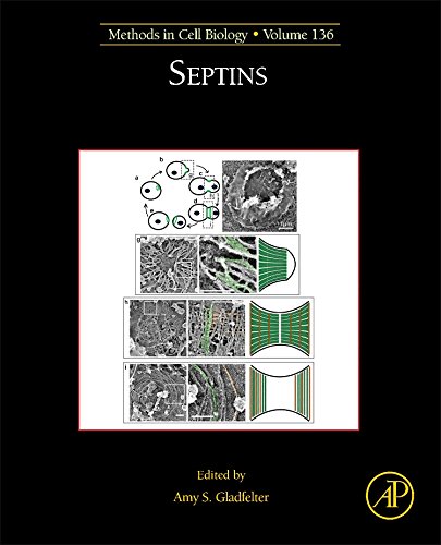 Septins By Amy S Gladfelter