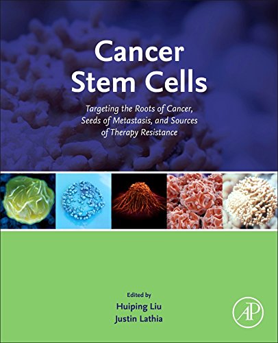 Cancer Stem Cells Targeting the Roots of Cancer Seeds of Metastasis and Sources of Therapy Resistance