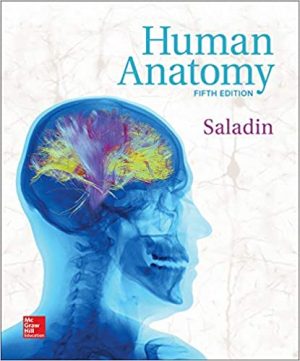 Human Anatomy 5th Edition By Kenneth S Saladin