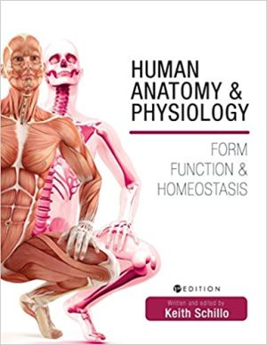 Human Anatomy And Physiology Form Function And Homeostasis