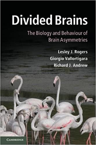 Divided brains the biology and behaviour of brain asymmetries