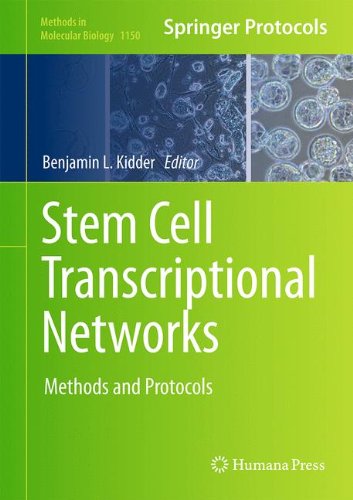 Stem Cell Transcriptional Networks Methods and Protocols
