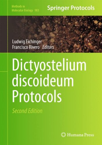 Dictyostelium discoideum Protocols