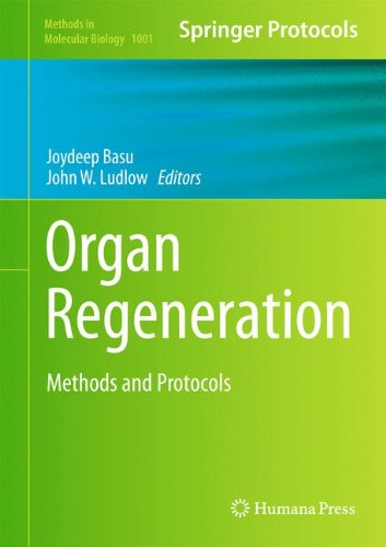 Organ Regeneration Methods and Protocols