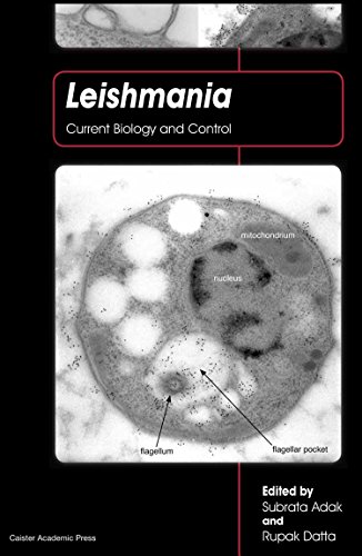 Leishmania Current Biology and Control