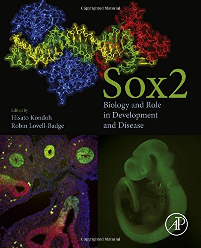 Sox2 biology and role in development and disease