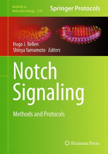 Notch Signaling Methods and Protocols