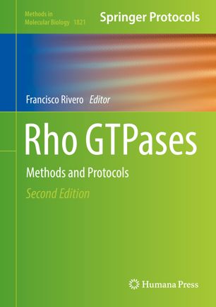 Rho GTPases Methods and Protocols