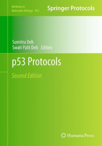 p53 Protocols 2nd Edition
