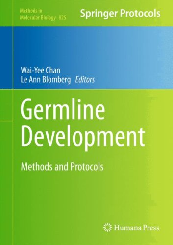 Germline Development Methods and Protocols Methods in Molecular Biology v825