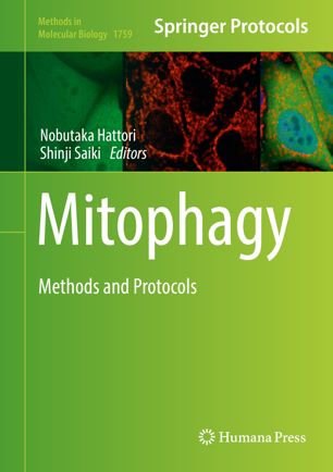 Mitophagy Methods and Protocols