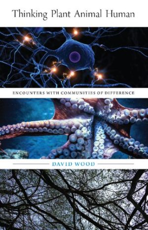 Thinking Plant Animal Human Encounters with Communities of Difference