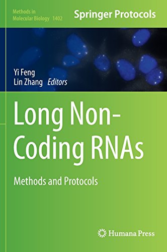 Long Non Coding RNAs Methods and Protocols