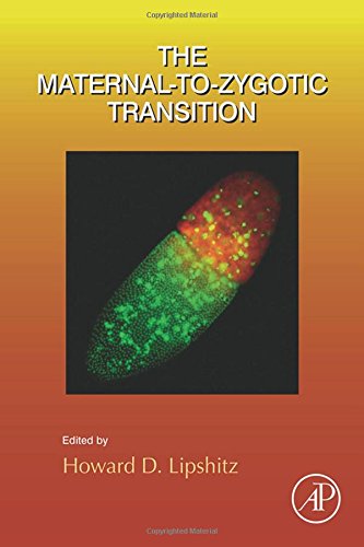 The Maternal to Zygotic Transition